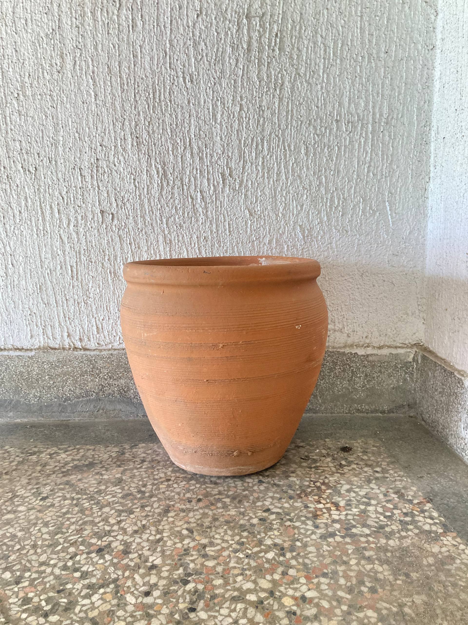 Кашпо волны и терракотовый горшок